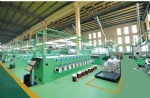 China Wire Enamelling machine